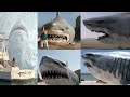Super Shark 2011 Prehistoric Shark Giant Shark Screen Time