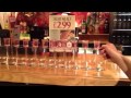 Phil's 60 Glass Shot Dominos