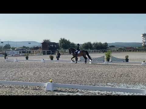 Dressage prova iniciados 2 - Cavaleira Áurea Sábio com o PSL Herdeiro