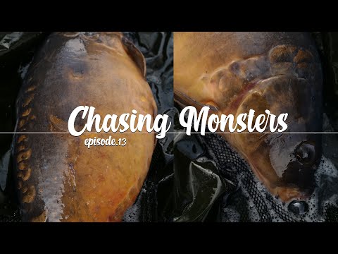 CHASING MONSTERS EPISODE 13  - JANUARY 2022 -  THE CHASE - BACKONTHEBANK - CARP FISHING