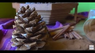 Cinnamon Scented Pinecones (2 ways!)