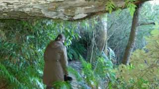 preview picture of video 'Wentworth Falls, Blue Mountains, Katoomba, New South Wales, Australia'