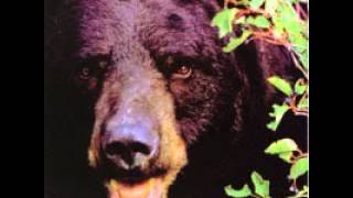 Happy campers I finally wrote a love song