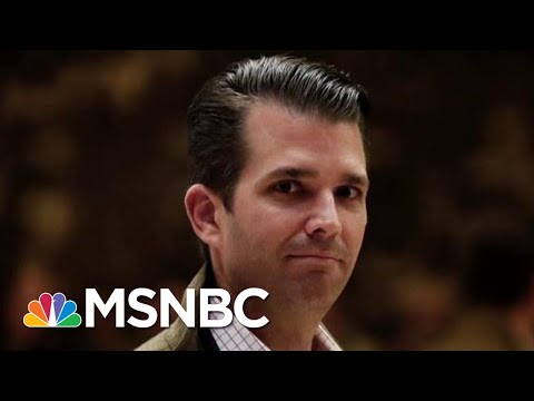 By Tweeting, President Donald Trump Makes Son's Situation Worse | Morning Joe | MSNBC