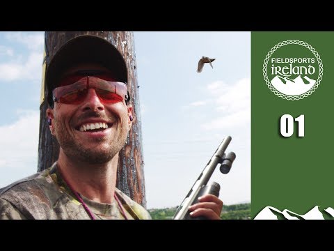 Save Whiskey: Shoot Pigeons – Fieldsports Ireland, episode 1 Save Whiskey: Shoot Pigeons – Fieldsports Ireland, episode 1