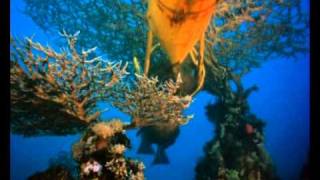 The Cousteau Collection - The Silent World - Trailer