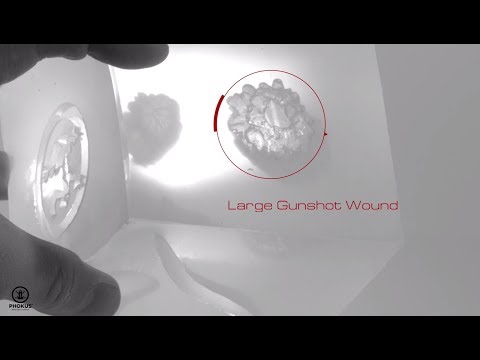 Wound Cube