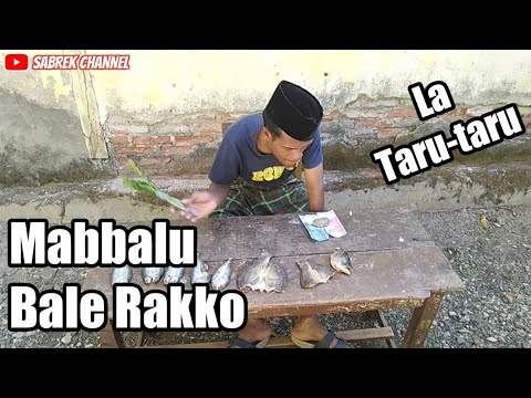 Ikan Asin | Video Lucu Bugis