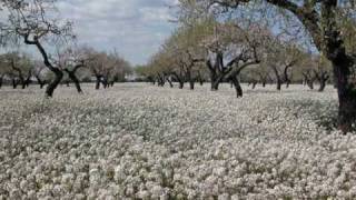 Cat power- where is my  love