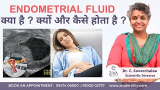 Endometrial fluid क्या है  क्यों और कैसे होता है || Dr C Suvarchalaa || ZIVA Fertilityy Hindi