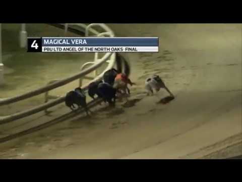 2019 ANGEL OF THE NORTH  FINAL - T4 MAGICAL VERA