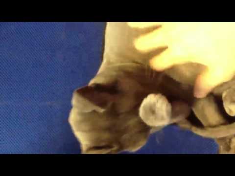 [120623] Heechul Twitter update: Annoyed Heebum