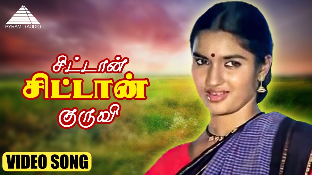 Chittan Chittan Kuruvi Song Lyrics | Pudhu Nellu Pudhu Naathu