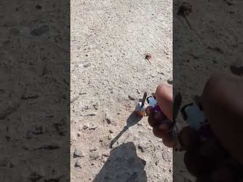 ATOM BOMB 💣 | Silver Bomb 💥 | Diwali Patakha #shorts