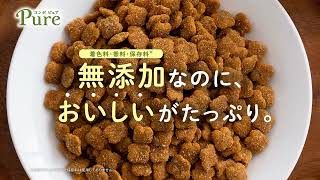 カット-動画-無添加なのに、おいしいがたっぷり！コンボ ピュア キャット｜15秒-v1