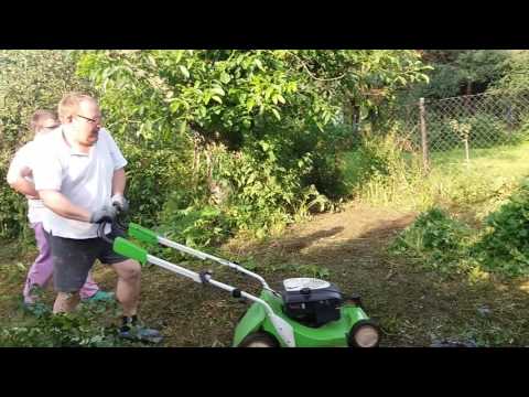 Baczu kosi trawę! :)