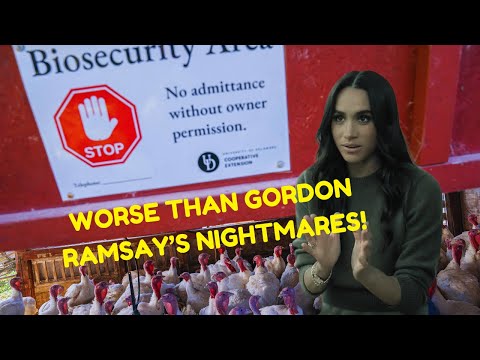 FOOD POISONING ALERT! Meghan Markle’s Chicken Disaster HORRIFIES Health Experts!