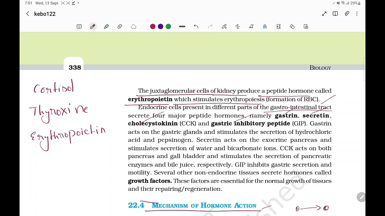 HORMONES OF HEART, KIDNEY AND GASTROINTESTINAL TRACT ,CHEMICAL COORDINATIONAND INTEGRATION