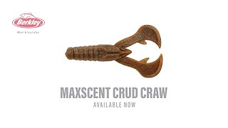 Berkley Fishing The All New Berkley MaxScent Crud Craw