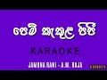 Pem Kekula Pipi පෙම් කැකුල පිපී Karaoke With Lyrics