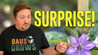 Life Lessons from Gardening