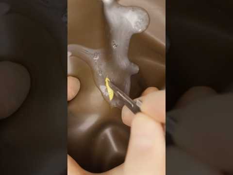 Abscess Stab Incision #oddlysatisfying #abscess #vet #medicine #surgery #surgeon #surgeonlife #asmr