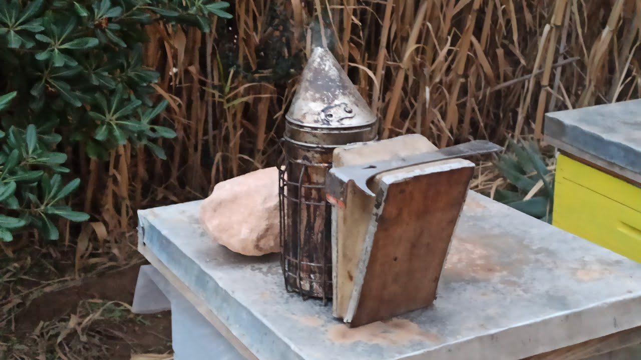 مباشر تربية النحل الجزائر مع #مربي_النحل_مفيد 2026/01/05