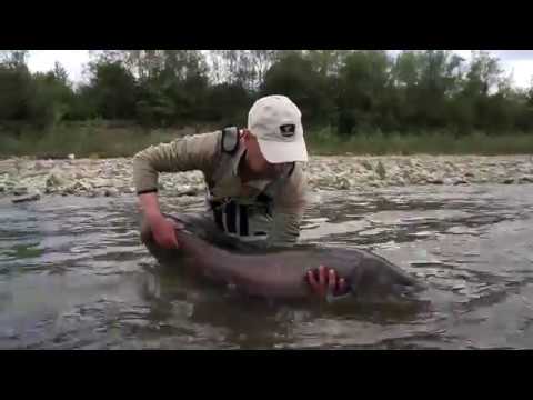 Potężne ryby na "muchę"