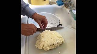 Mozzarella making curd to stretching process