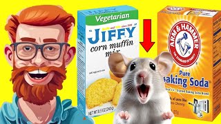 Farmer Shares a Two Ingredient Recipe To Effectively Get Rid of Mice & Rats