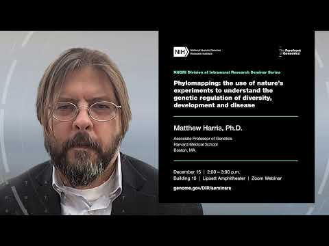 NHGRI DIR Seminar Series - Matthew Harris
