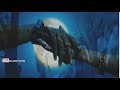 Suthudhae Suthudhae Boomi Song Whatsapp Status ️ Love Song Whatsapp Status