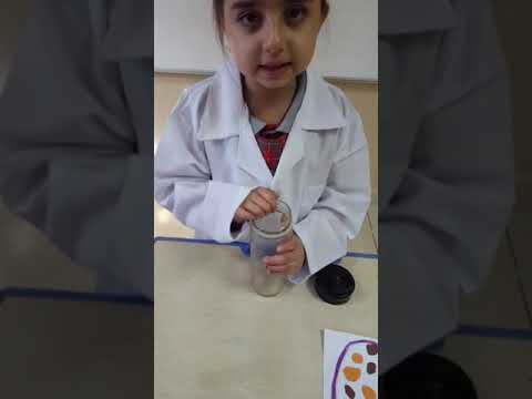 Class Name Azalea  Grade 1  science  Mrs lamees