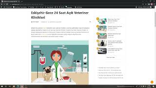 Eskişehir Gece Açık Veteriner Klinikleri