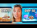 Simulating A Beach For 50 Days