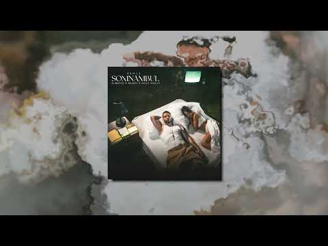 Albwho x Randi x Holy Molly - Somnambul (Remix)