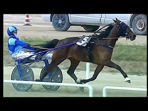 Napoli Trotto 18/03/2022 - 5ª corsa