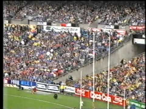 1995 Preliminary Final Geelong Vs Richmond At Waverley