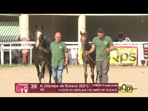 Show AQPS Ouest 2021 - Lot  39