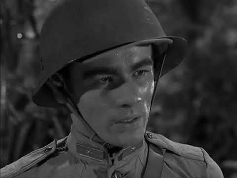 3x15 pt.5 Che tipo di pietà - Ai Confini Della Realtà (The Twilight Zone)