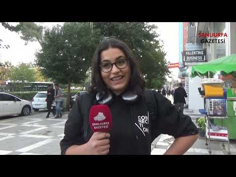 Şanlıurfa’da İşsizlik ve Eğitim Krizi Vatandaşı Endişelendiriyor!