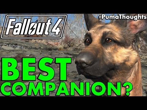 Who is the Best Companion or Follower in Fallout 4? (Survival) #PumaThoughts