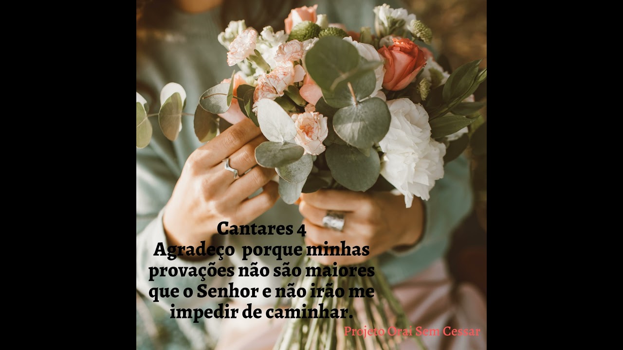 Cantares 4 Agradeço porque minhas provações não são maiores que o Senhor e não irão me impedir de...