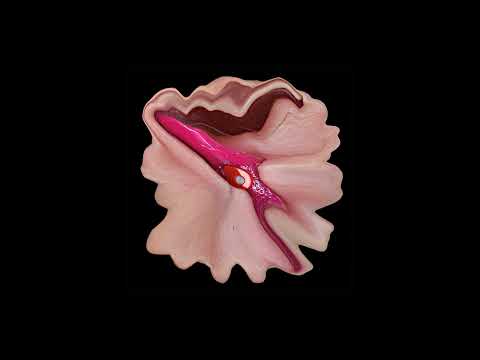 Valerie Ace - Hurting Them Back Will Not Heal Your Pain [HARDWON006]