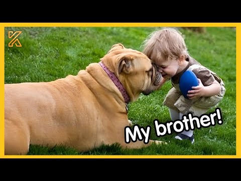 🐕👶 When Your Dog Takes On The Role Of Big Brother! 🥰The Best DOG Moments