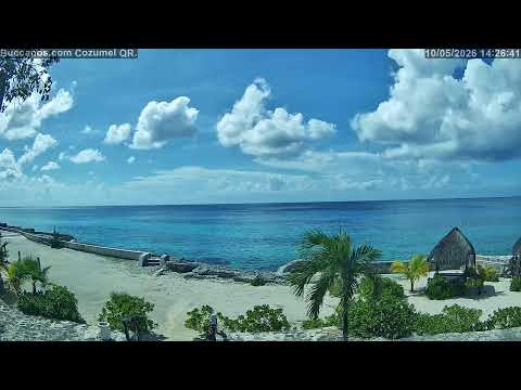 Camera Offline