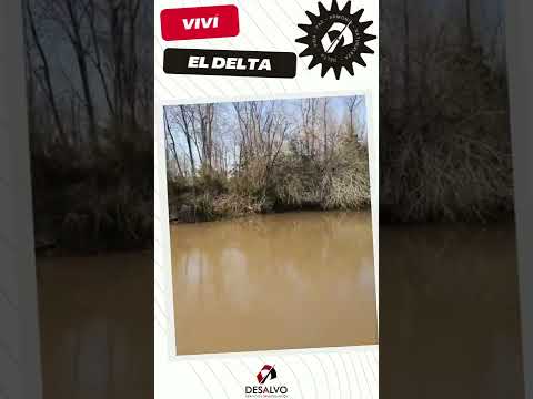 Delta del Parana - Arroyo Pacifico / Durazno