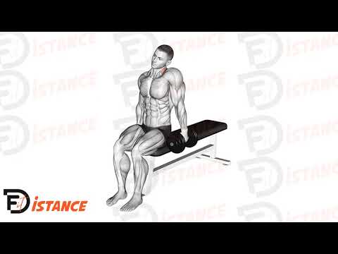 Shrugs haltère assis en unilatéral - Exercice Shrugs haltère assis en unilatéral en vidéo
