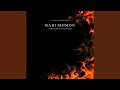 Rabi Shimon