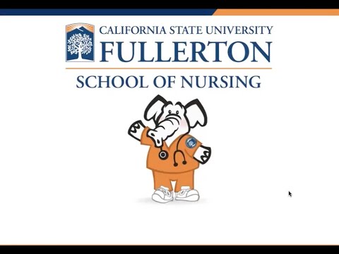 Csuf Nursing Programs Overview